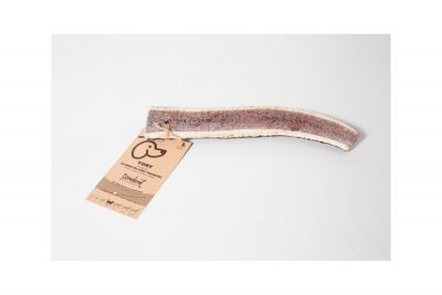 Bois de cerf tranché - Évident – Image 2