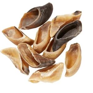 Sabot de Boeuf