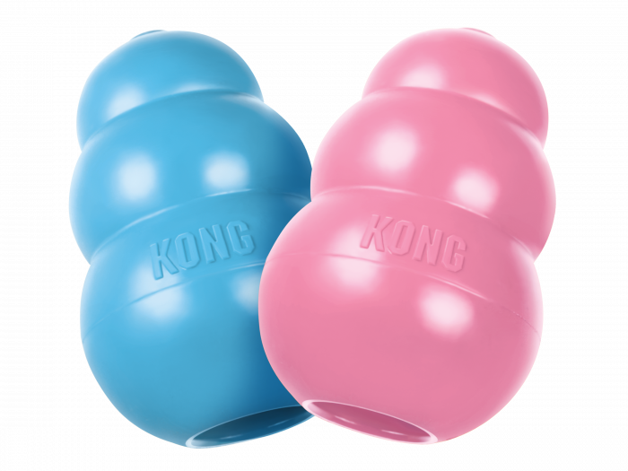 KONG Puppy