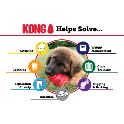 KONG Extreme – Image 7