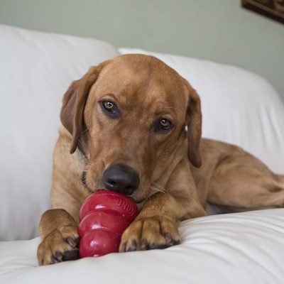 KONG Snacks au foie – Image 5