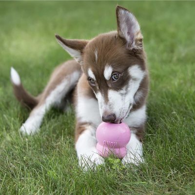 Pâte KONG Easy Treat Puppy – Image 2