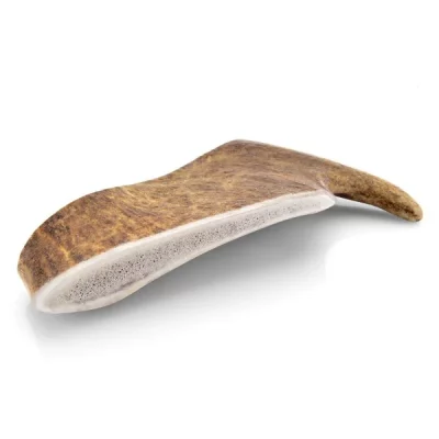 Bois de daim