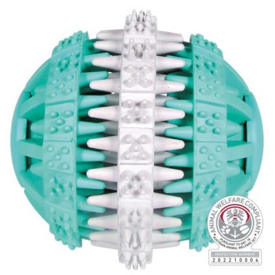 Denta Fun menthe