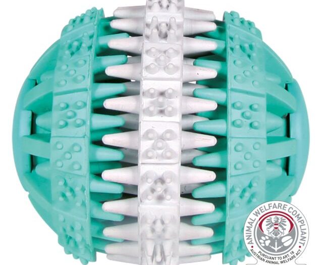 Denta Fun menthe