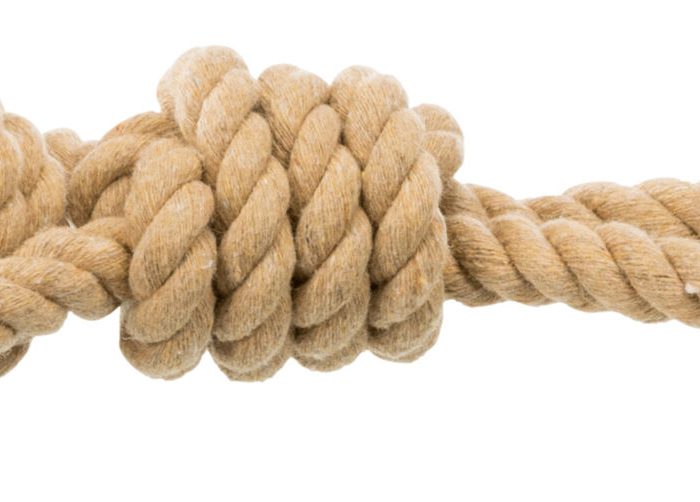 Corde de jeu avec balle tressée