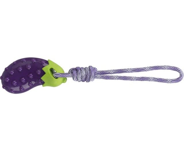 Aubergine sur corde