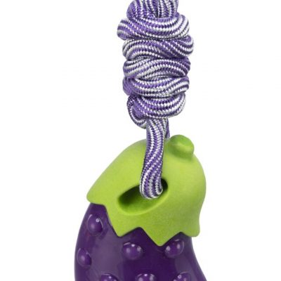 Aubergine sur corde – Image 2