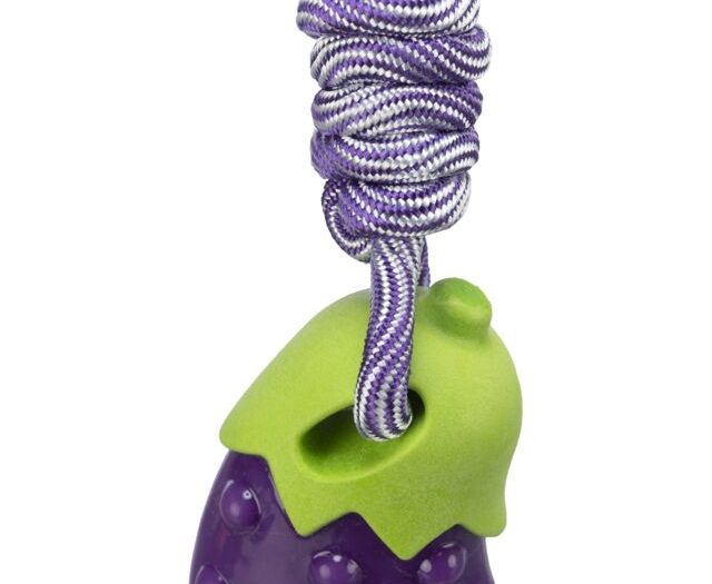 Aubergine sur corde