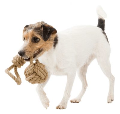 Corde de jeu avec balle tressée – Image 3