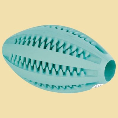 Denta Fun rugby