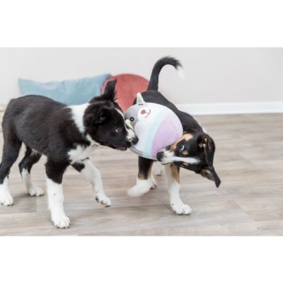 Junior Ours en peluche – Image 4