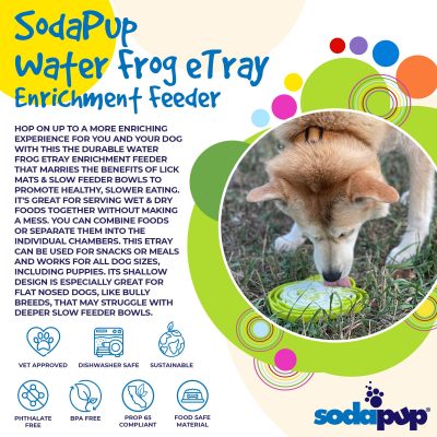 Plateau Water Frog Sodapup – Image 4