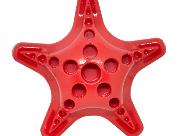 Starfish Sodapup