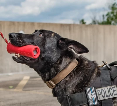 USA K9 Grenade Sodapup – Image 4