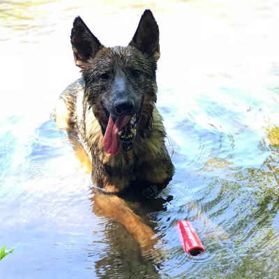 USA K9 Grenade Sodapup – Image 3