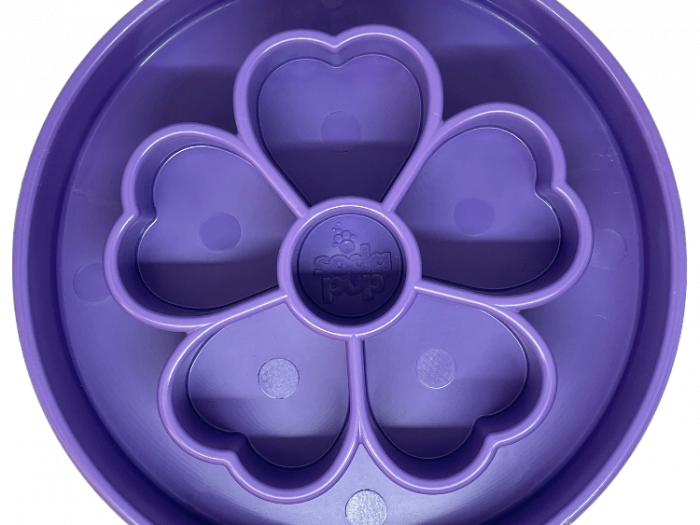 Ebowl Fleur Sodapup