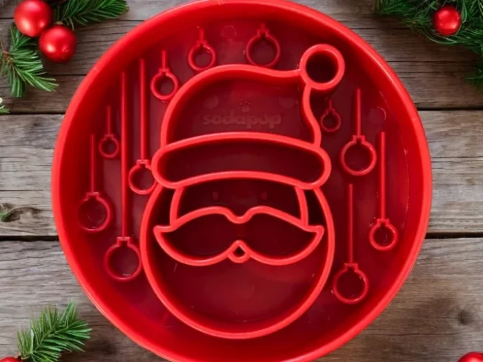 Ebowl Père Noël Sodapup