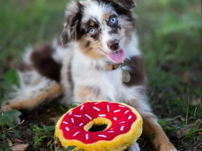 Donutz cherry ZippyPaws
