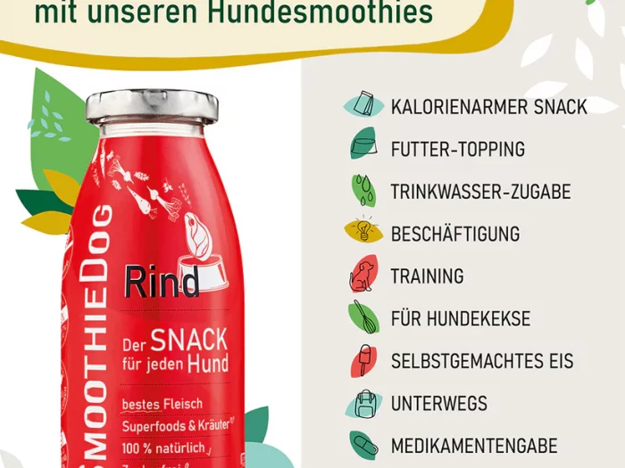 Smoothie Boeuf