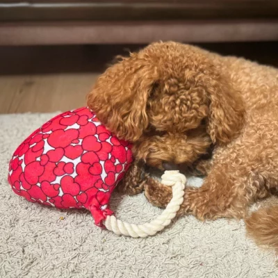 Peluche Love WufWuf – Image 2