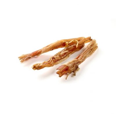 Tendons d'Autruche