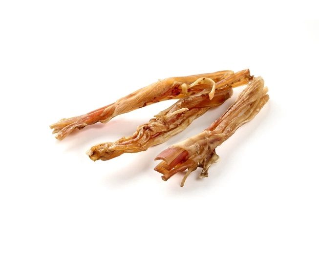 Tendons d’Autruche