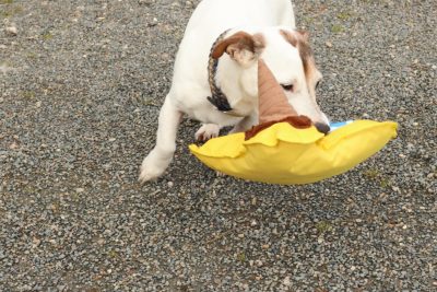 Glace en peluche WufWuf – Image 3