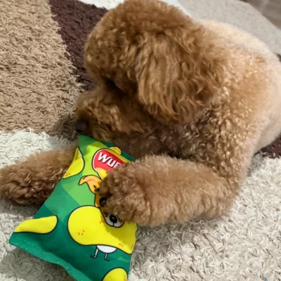 Crispy Crisps Crinkle WufWuf – Image 2