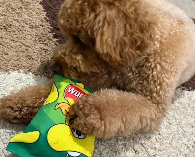 Crispy Crisps Crinkle WufWuf