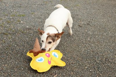 Glace en peluche WufWuf – Image 2