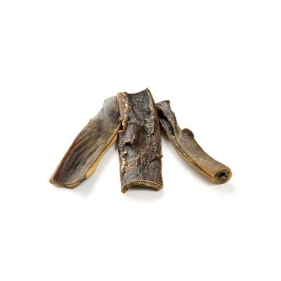Cuir chevelu de chameau