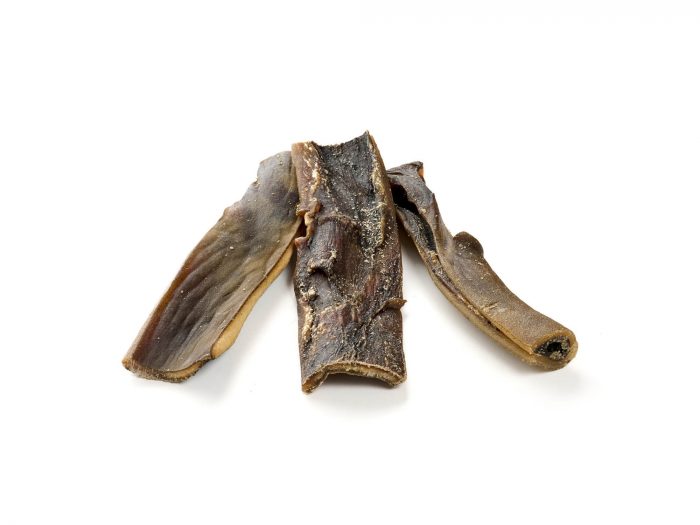 Cuir chevelu de chameau
