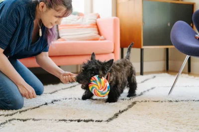 Peluche Sucette Pet Play – Image 2