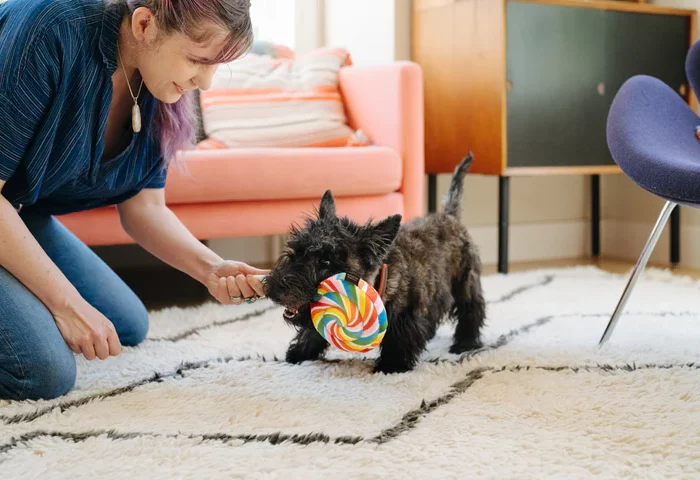 Peluche Sucette Pet Play