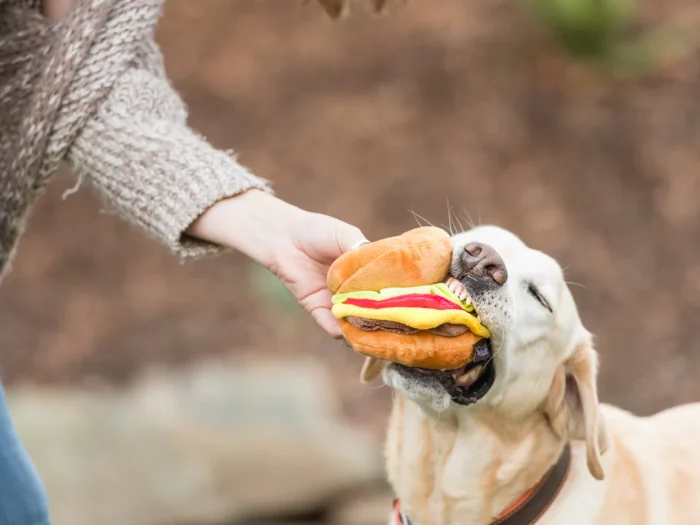 Hamburger classic Pet Play