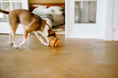 Hamburger classic Pet Play – Image 4