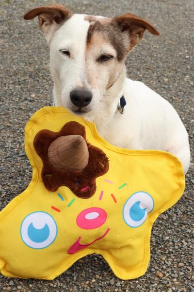 Glace en peluche WufWuf – Image 4