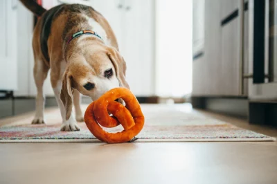 Peluche Bretzel Pet PLAY – Image 3