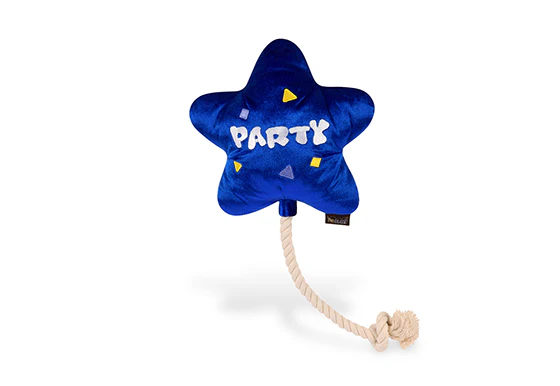 Play Time Pet Play