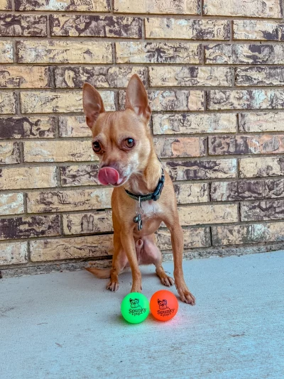 Balle fluorescence spunky pup – Image 3