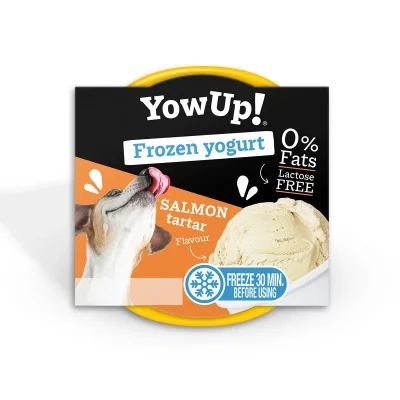 Yaourt glacé - Tartare de Saumon