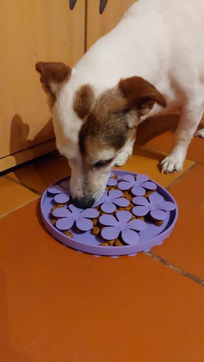 Tapis anti-glouton Fleurs – Image 3