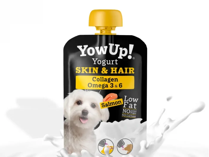 Yaourt – Saumon – YowUp
