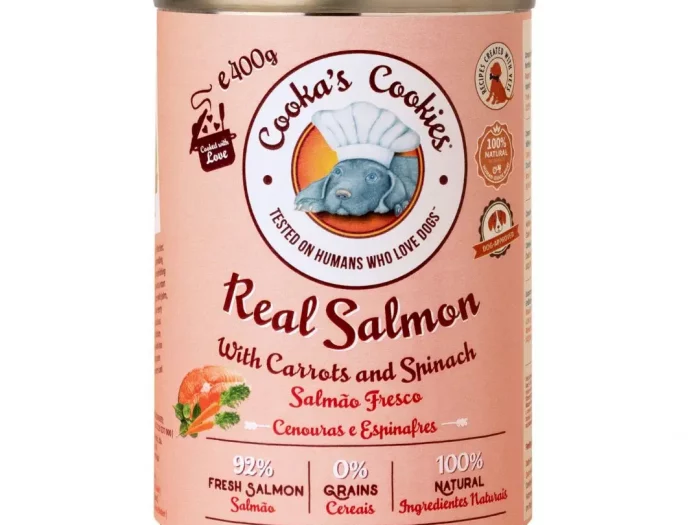 Real Salmon – Nourriture humide