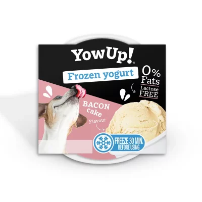 Yaourt glacé - Bacon & Cake