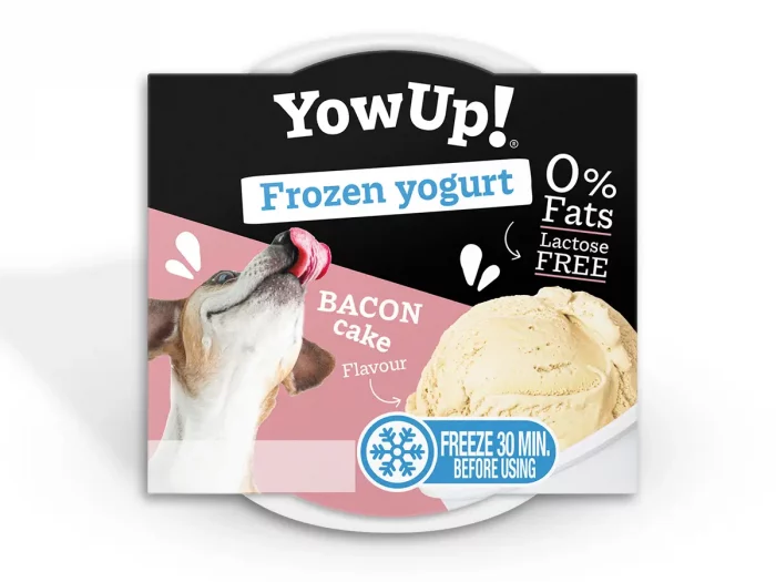 Yaourt glacé – Bacon & Cake