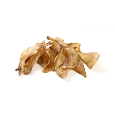 Petite Omoplate de Cerf