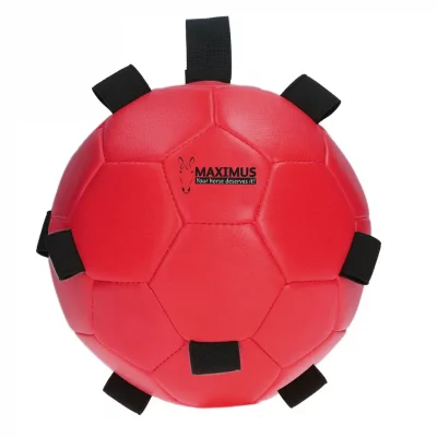 Fun Play Ball