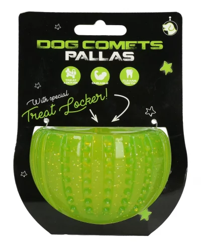 Dog Comets Pallas